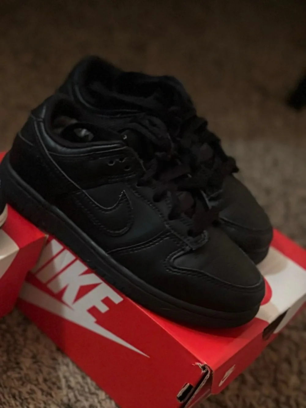 Nike Dunks PS